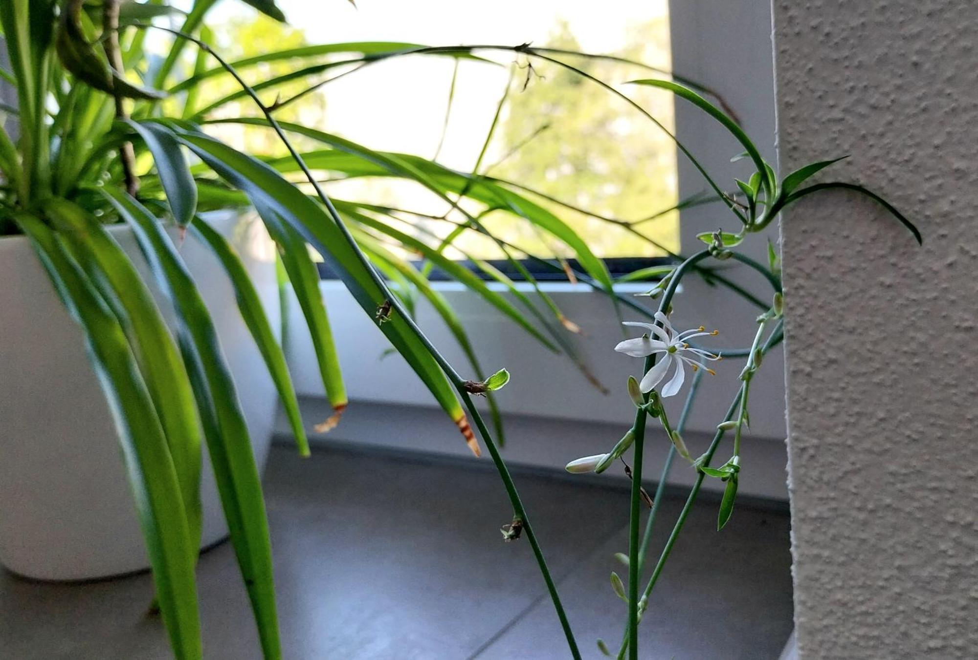 Kempten Mit Bauernhof-Flair Exteriör bild