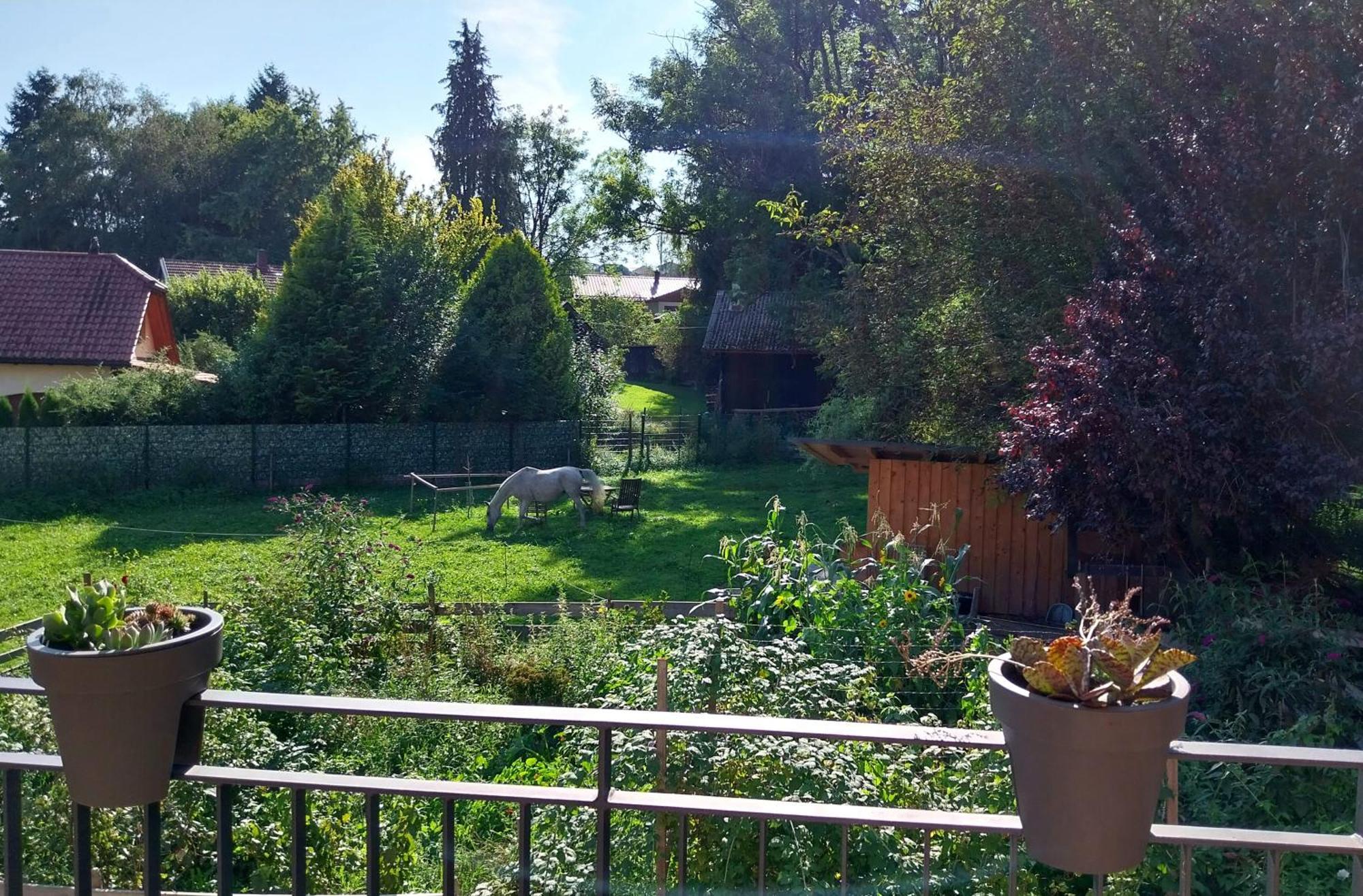 Kempten Mit Bauernhof-Flair Exteriör bild